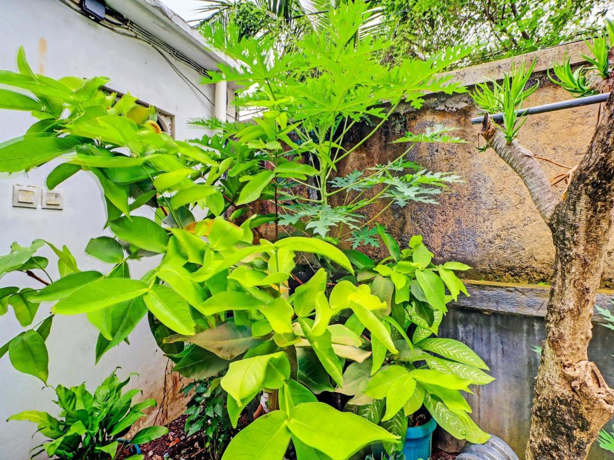 Hotel Capital O 92229 Pudak Sari Homestay Kuta (Bali)